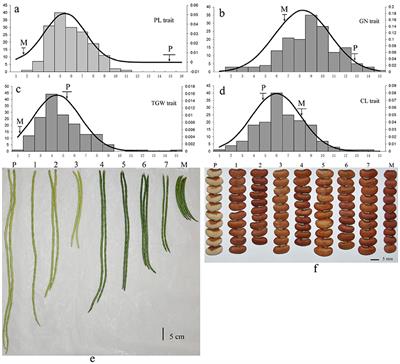 A High Density Genetic Map Derived from RAD Sequencing and Its Application in QTL Analysis of Yield-Related Traits in Vigna unguiculata